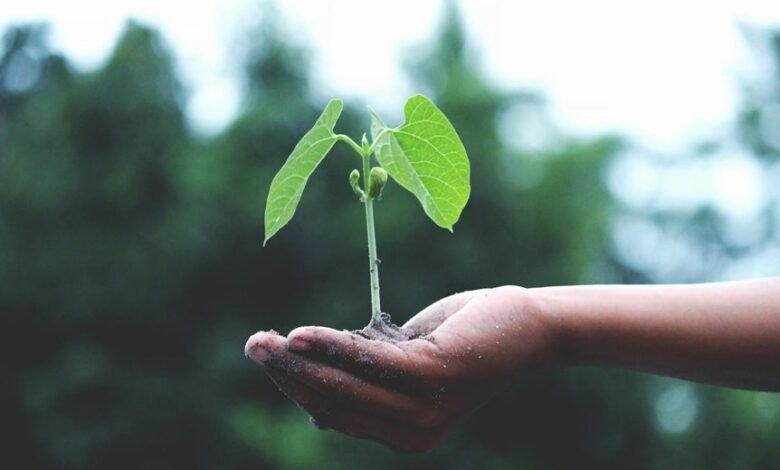 max life growth initiative