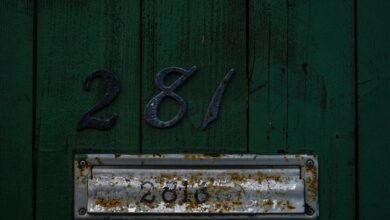 detailing specific numerical information