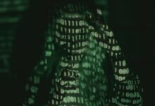 understanding numerical identifier significance