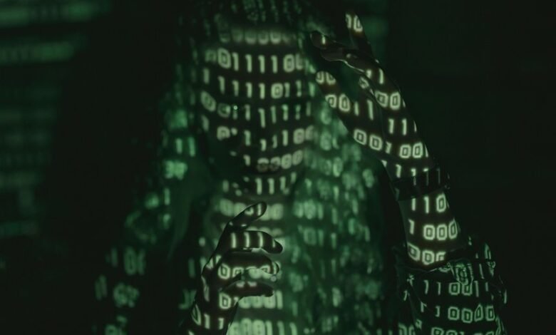 understanding numerical identifier significance