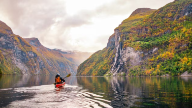 From Vineyards to Villages: A Cruise for the Senses