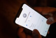 call hotline at 7576437201