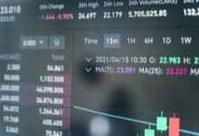 hotline number 3533085520