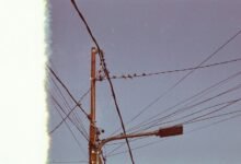 support line available 7328195922