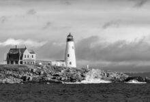 download mozilla d5 2f5 guide