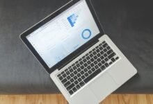 dynamic intelligence report summary