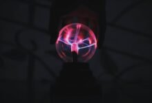 authority system for growth