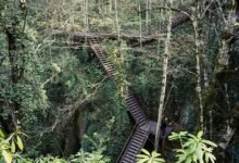 endless possibilities ahead