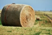 horizon core expansion node