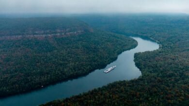 horizon flow growth path