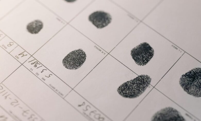 identification report analysis details