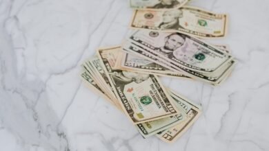 momentum node profit flow