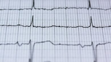 polaris path performance pulse