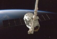 vertex orbit market lane