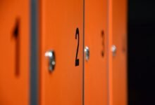 apex quantum security numbers